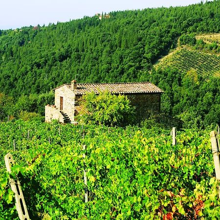 Agriturismo Piemaggino Castellina in Chianti Bagian luar foto