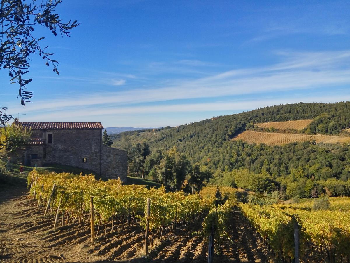 Agriturismo Piemaggino Castellina in Chianti Bagian luar foto