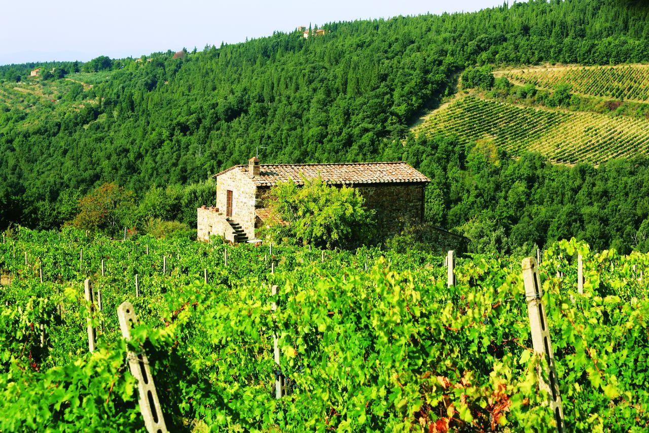 Agriturismo Piemaggino Castellina in Chianti Bagian luar foto